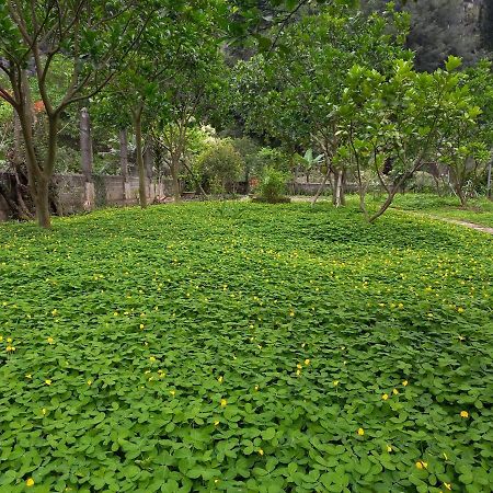 Yen Binh Homestay 宁平 外观 照片