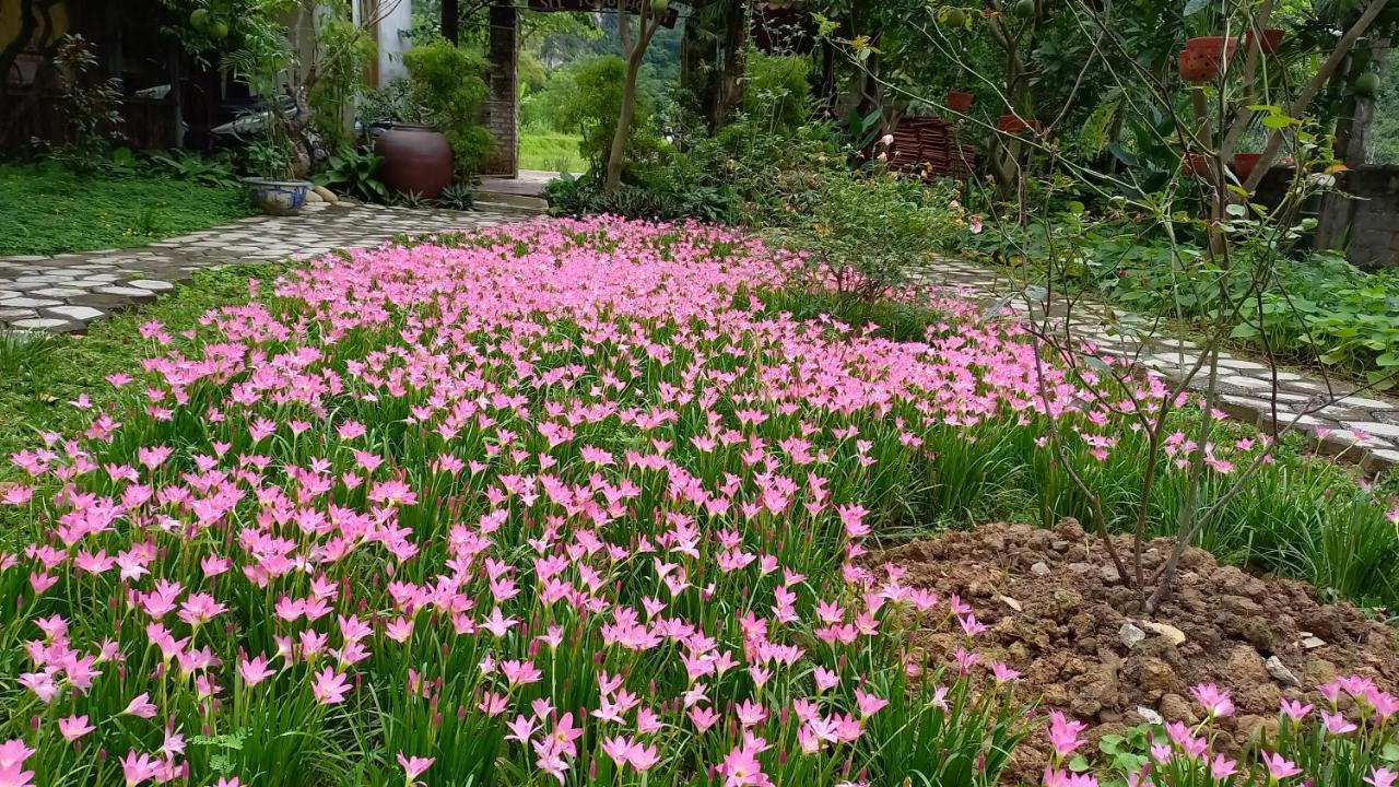 Yen Binh Homestay 宁平 外观 照片