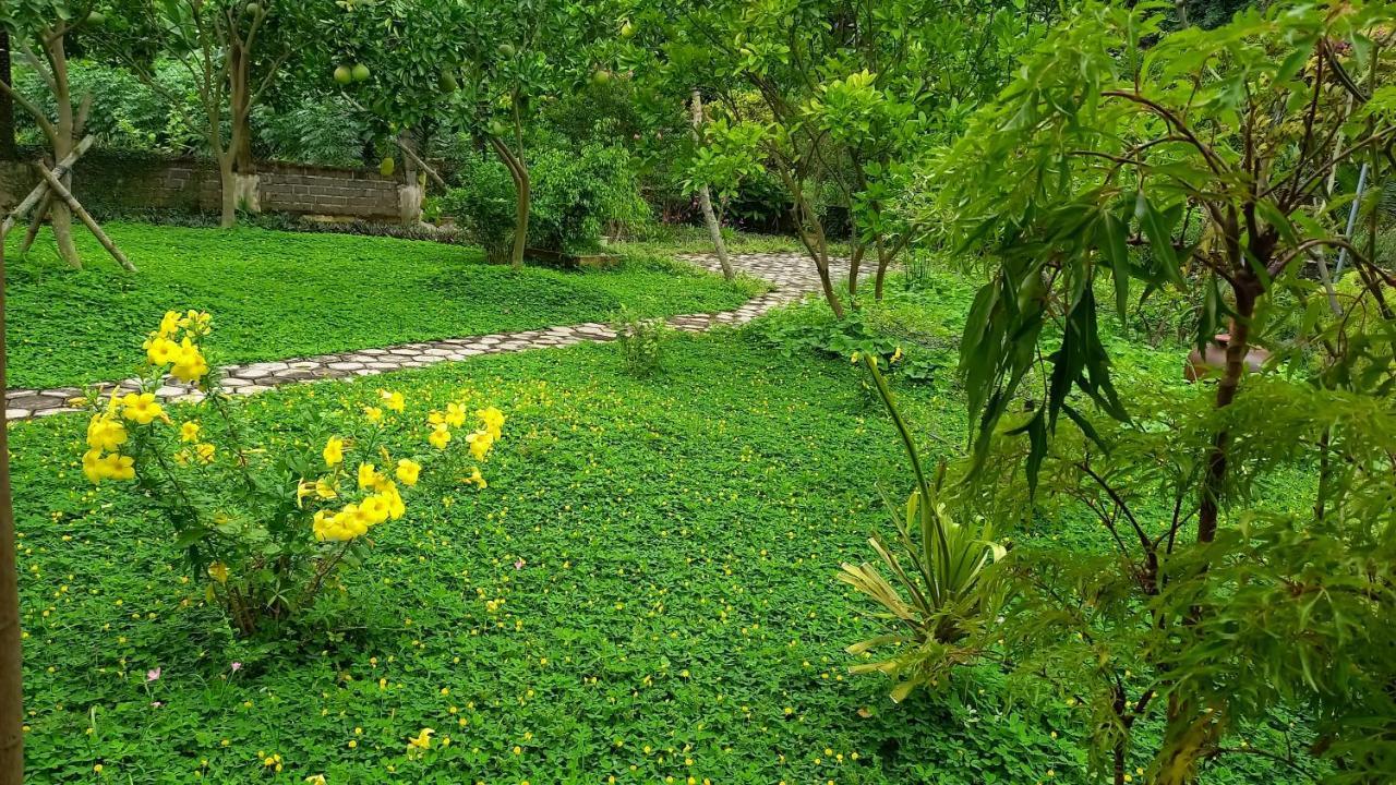Yen Binh Homestay 宁平 外观 照片