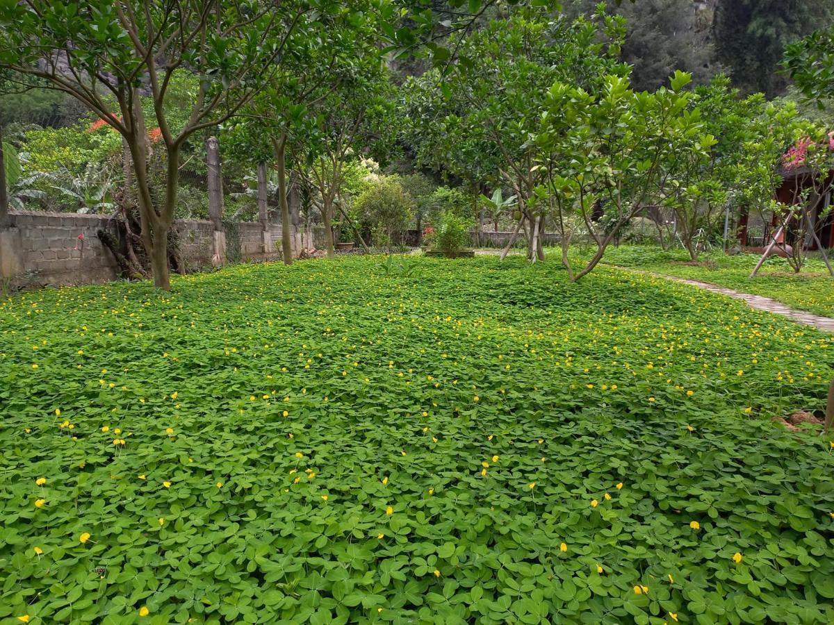 Yen Binh Homestay 宁平 外观 照片