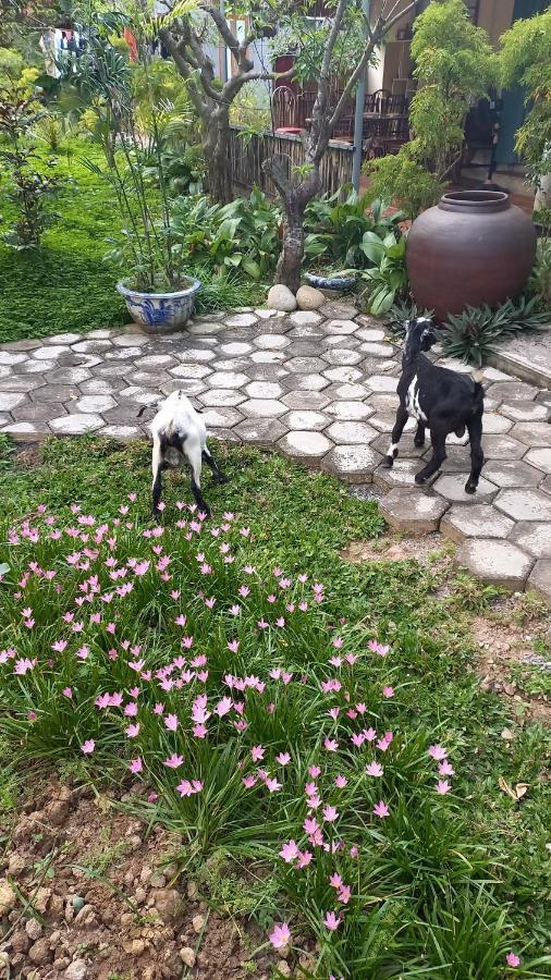 Yen Binh Homestay 宁平 外观 照片