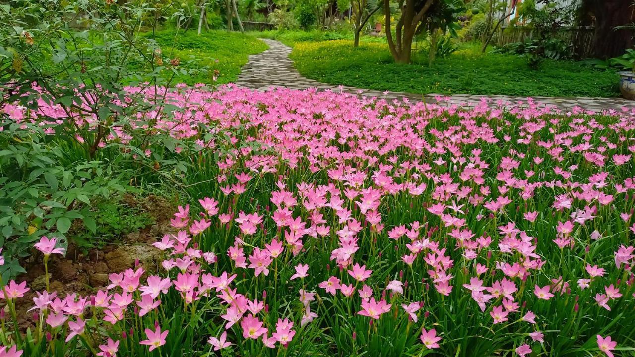 Yen Binh Homestay 宁平 外观 照片