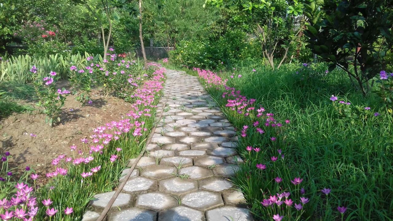 Yen Binh Homestay 宁平 外观 照片